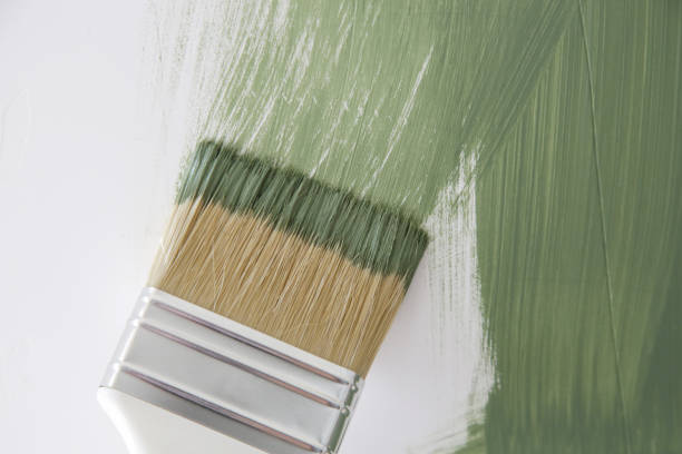 Mold Documentation for Insurance Claims in Taft, CA