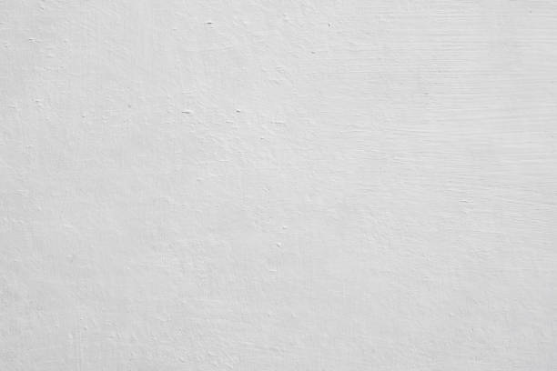 Taft, CA Mold Removal Company